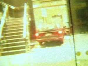 Clinton Foundation, New Zealand, Hillary Clinton, Panama Papers, Money Laundering, ANZ, TPPA, Jacinda Adern, Wahine Toa