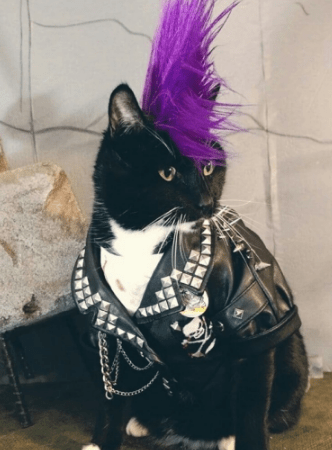 BEN VIDGEN INVESTIGATES – Postman Productions. The on-line arm of ...