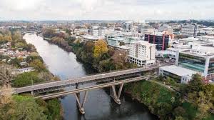 Hamilton's dirty little secret: High levels of E coli recorded downstream of Hamilton | Stuff.co.nz