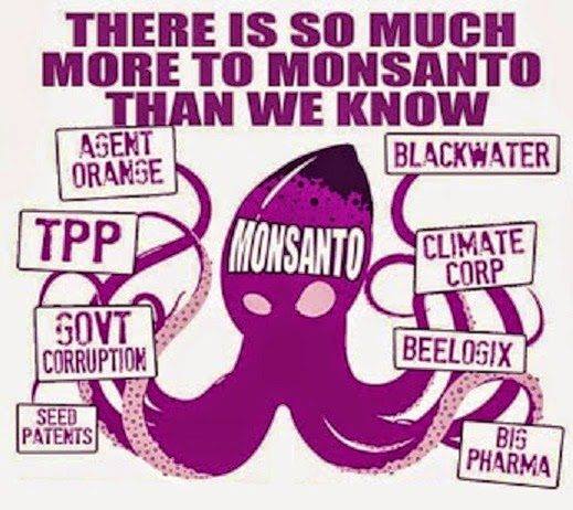 This image has an empty alt attribute; its file name is 53648576_2104368886265778_1968794346853498880_n.jpg