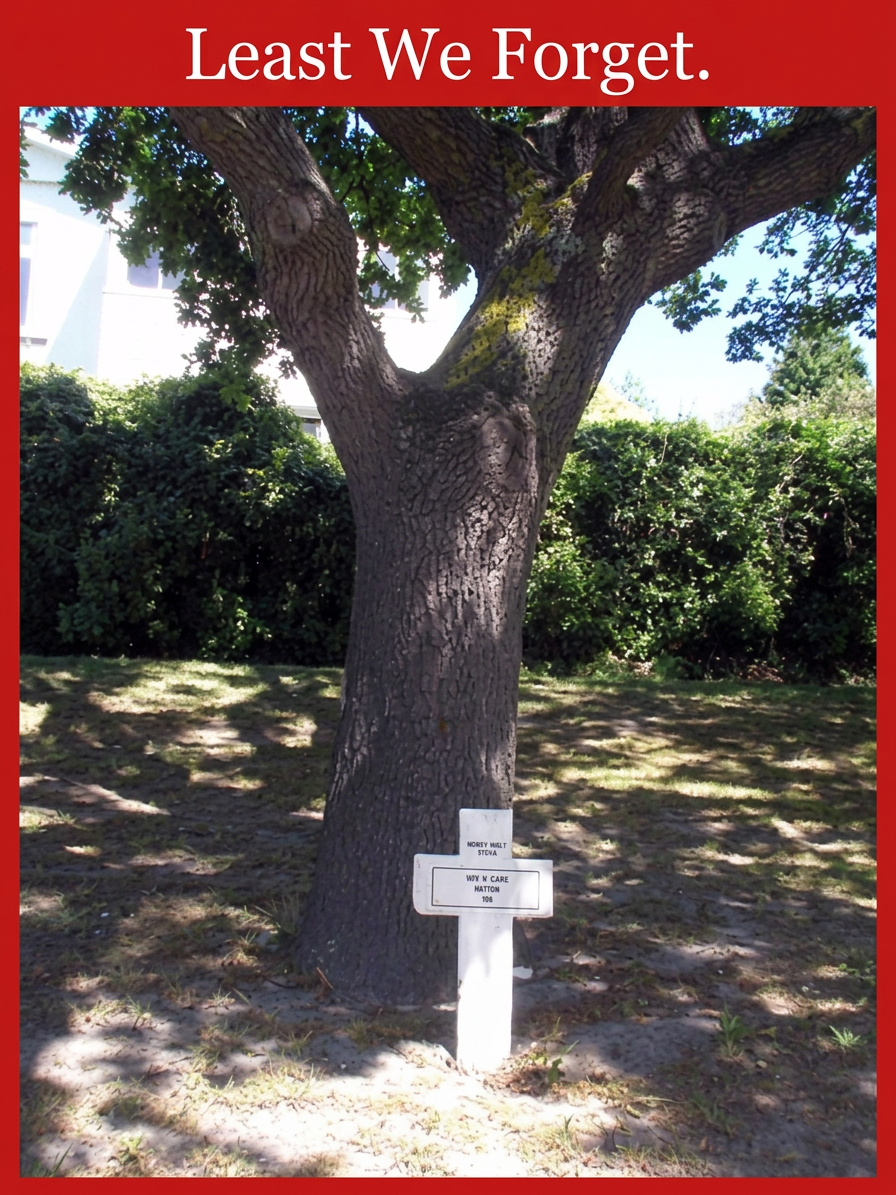 images (1)